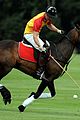 prince harry william polo jerudong park 27