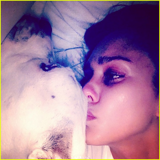 Jessica Alba Suffers Another Loss as Dog Bowie Dies Days After Dog Sid