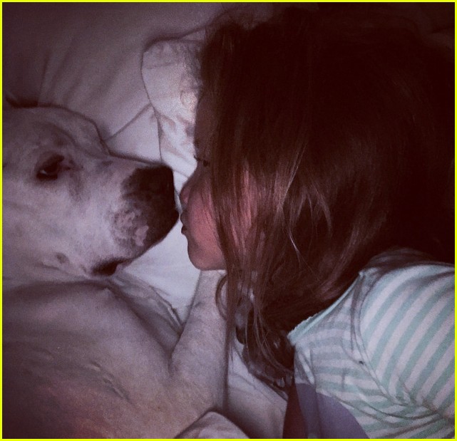 Jessica Alba Suffers Another Loss as Dog Bowie Dies Days After Dog Sid