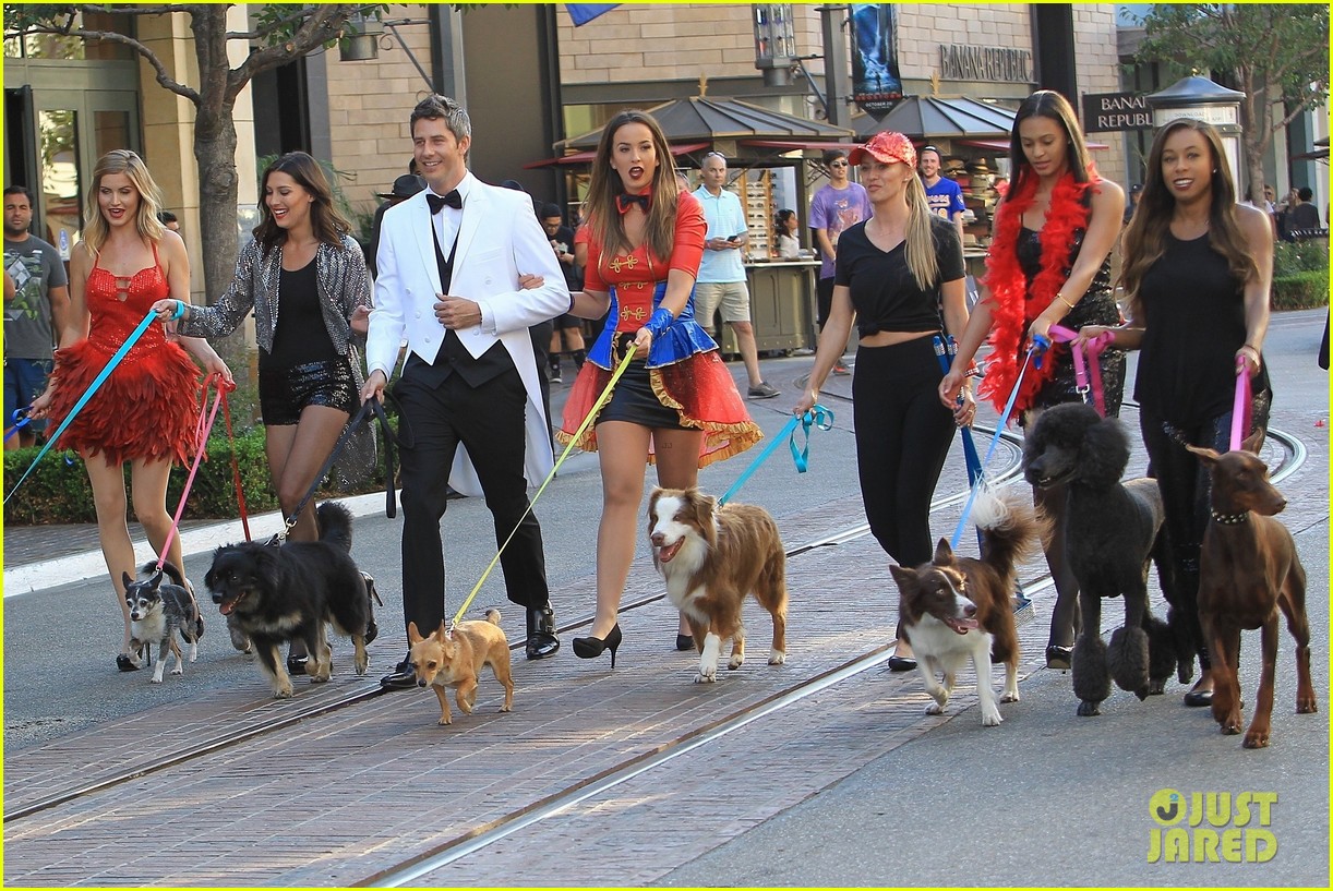 arie luyendyk jr takes his bachelor girls on a dog walk date 08