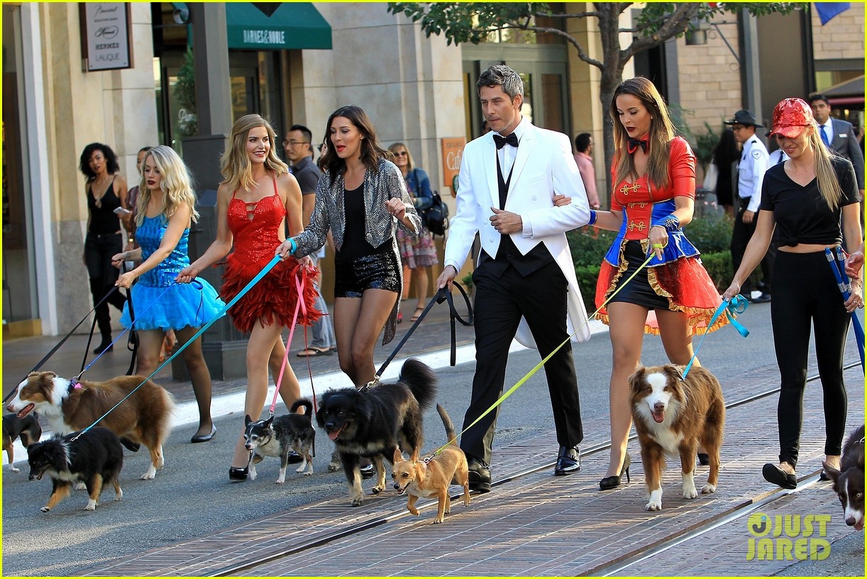 arie luyendyk jr takes his bachelor girls on a dog walk date 133965951