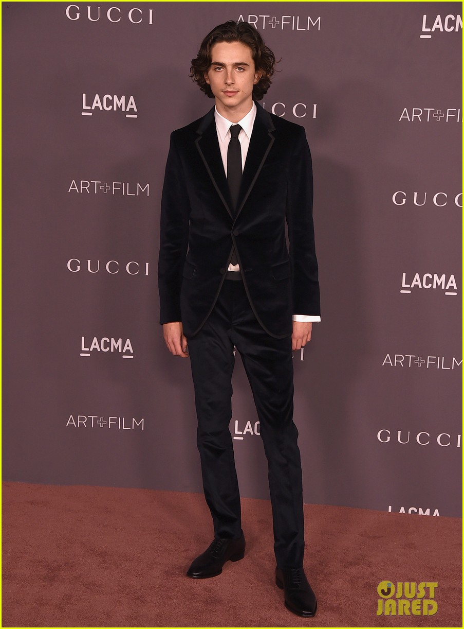armie hammer joins call me by your name co star timothee chalamet at lacma gala 2017 173982467
