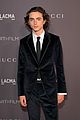 armie hammer joins call me by your name co star timothee chalamet at lacma gala 2017 04
