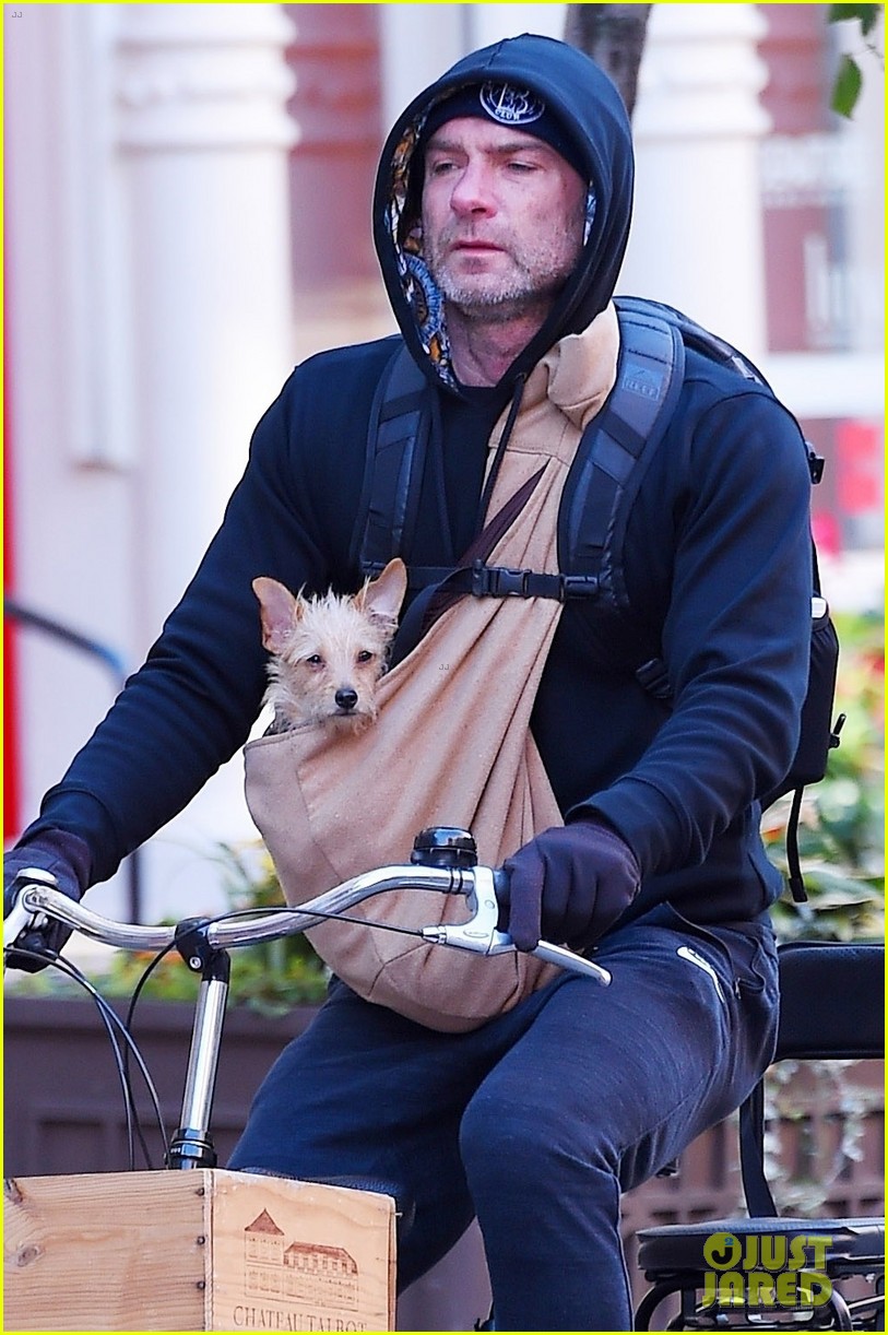 liev schreiber takes his pup for a ride 043985702