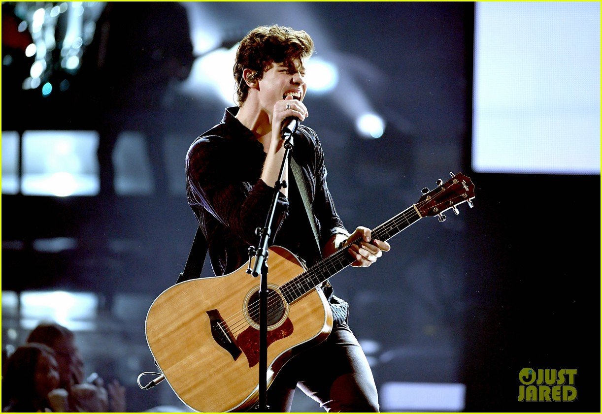 Shawn Mendes Performs 'There's Nothing Holding Me Back' at AMAs 2017
