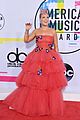pink is supported by husband carey hart at american music awards 2017 05