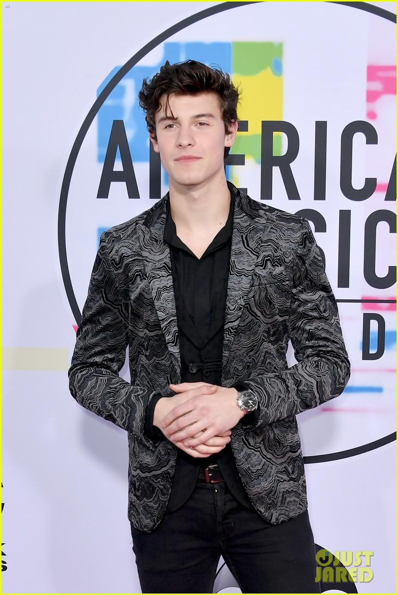 shawn mendes 2017 american music awards 023989956