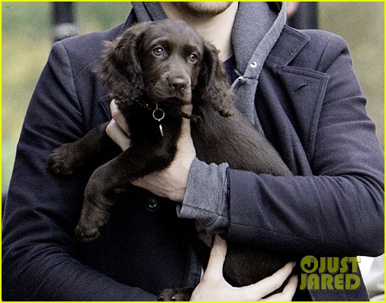 tom hiddleston puppy london 03