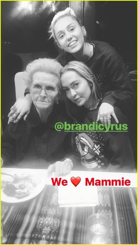 miley cyrus is celebrating christmas with her siblings pets 024004572