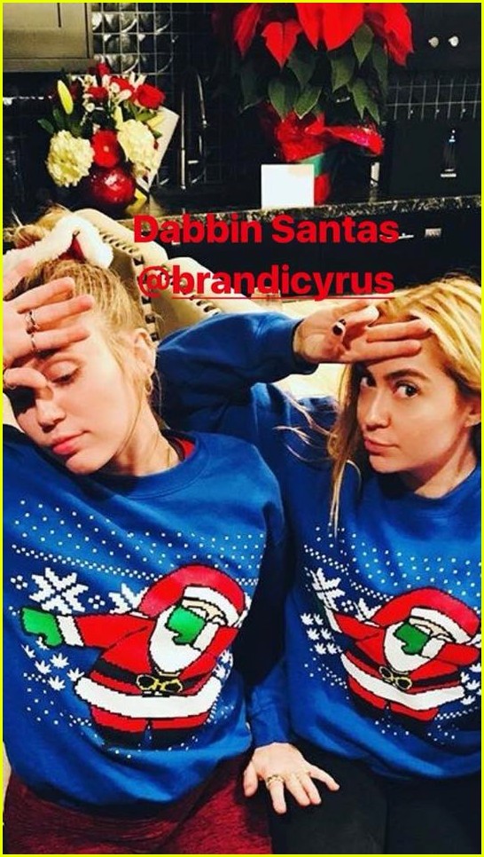 miley cyrus is celebrating christmas with her siblings pets 044004574