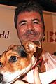 simon cowell charity event barbados dogs 01
