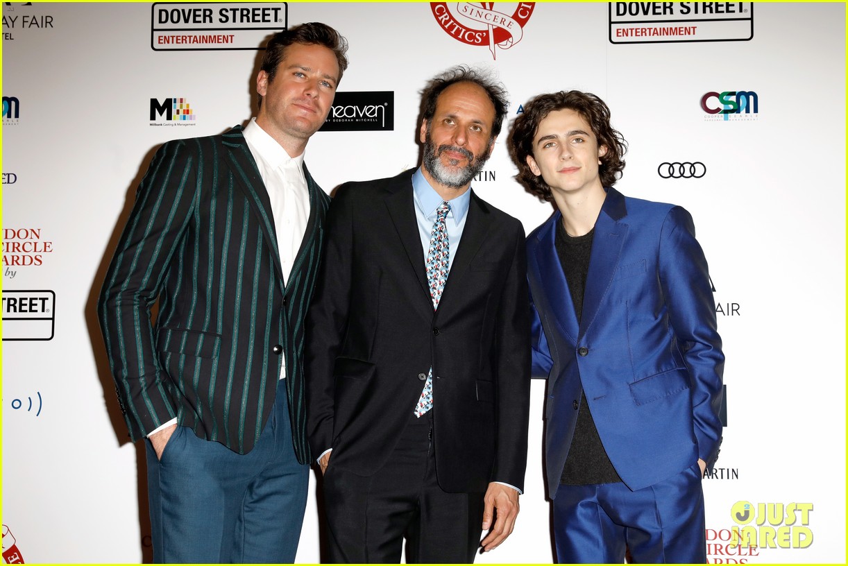 timothee chalamet armie hammers call me by your name director reveals sequel plans 02