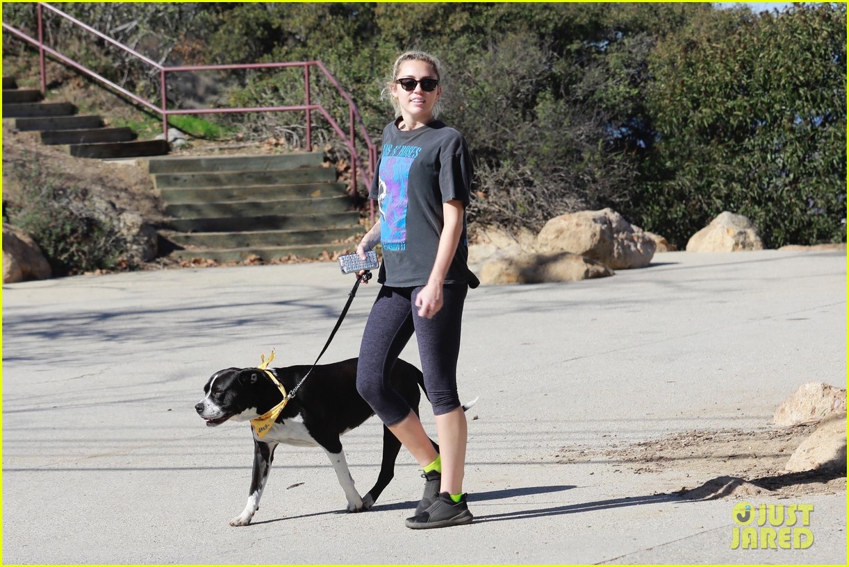 miley cyrus takes her dog for a hike in studio city 05