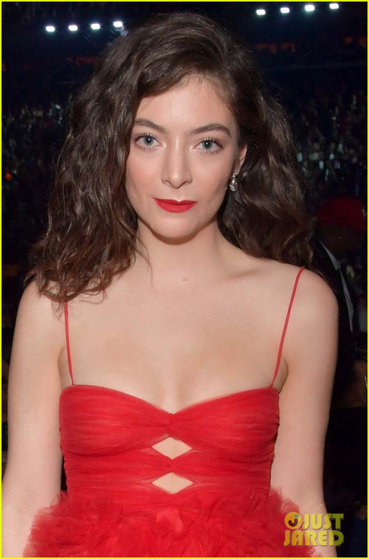 lorde is joined by younger brother angelo at grammys 2018 064023026