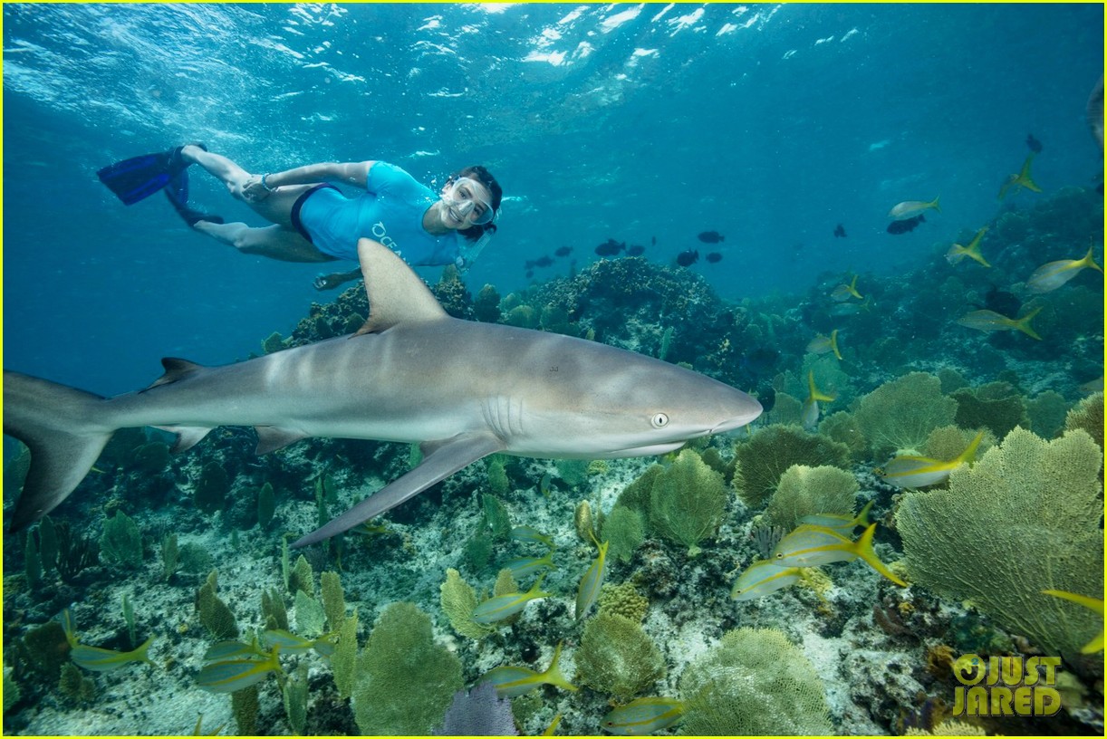 nina dobrev swims with sharks 024007070