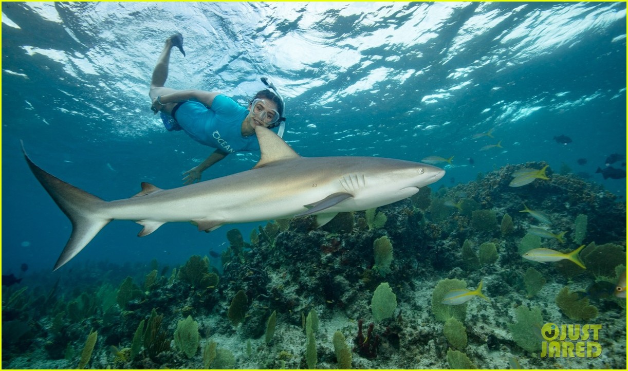 nina dobrev swims with sharks 044007072