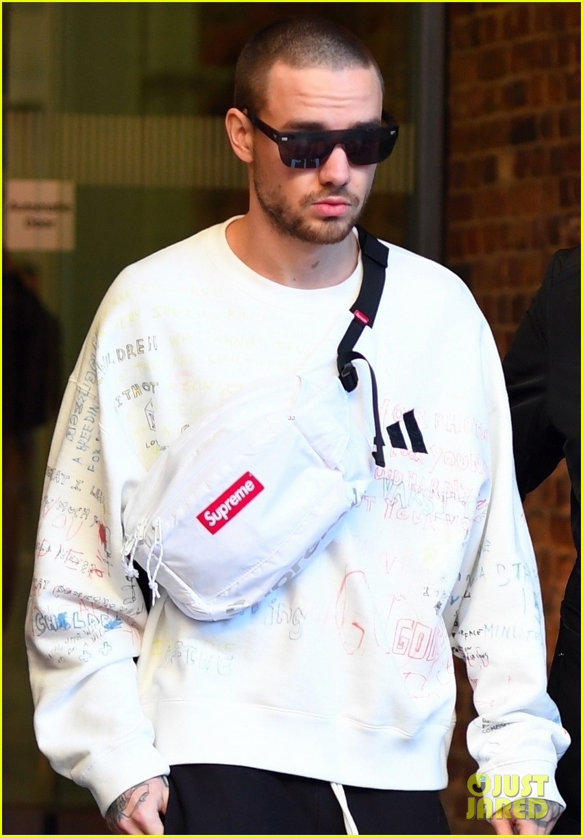 The Secret Liam Payne Doesnt Want You To Know About Building The Band - nfpli6r