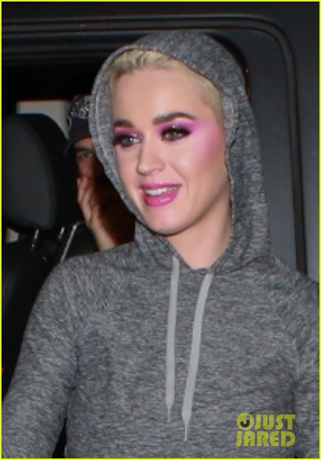 katy perry greets fans at rio airport 024052303
