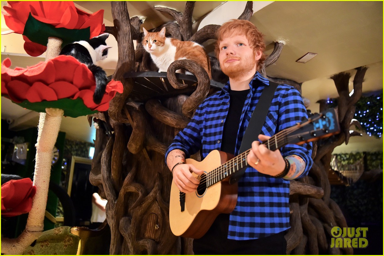 Ed Sheeran Gets a Wax Figure at a Cat Cafe in London! Photo 4100235