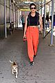 priyanka chopra takes her pup diana for a walk in nyc 05