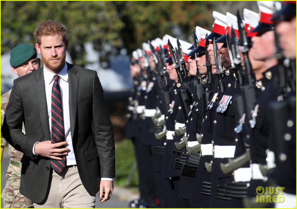 prince harry prince william step out for separate royal duties 16