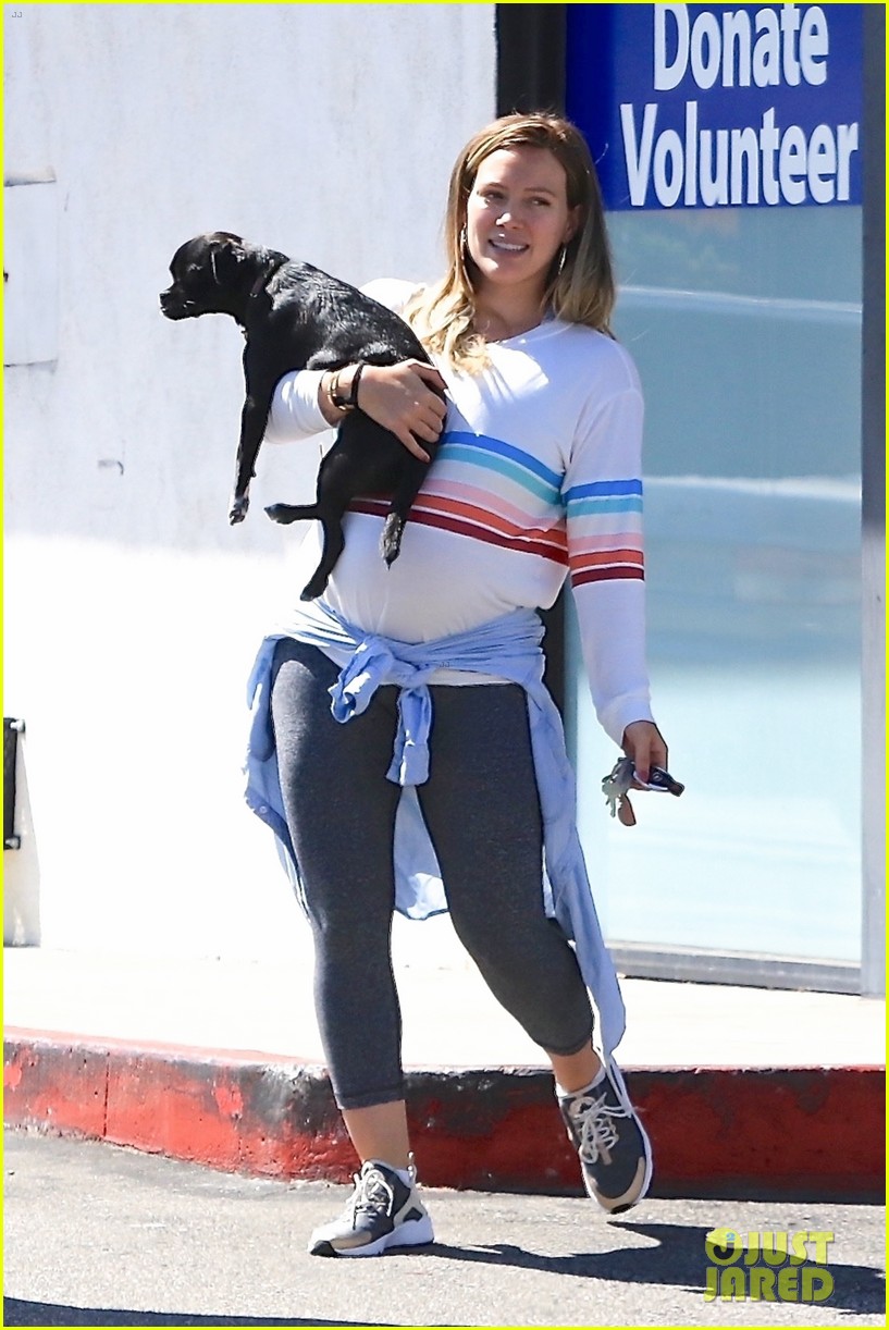 Pregnant Hilary Duff & Boyfriend Matthew Koma Bring Their Pup to the