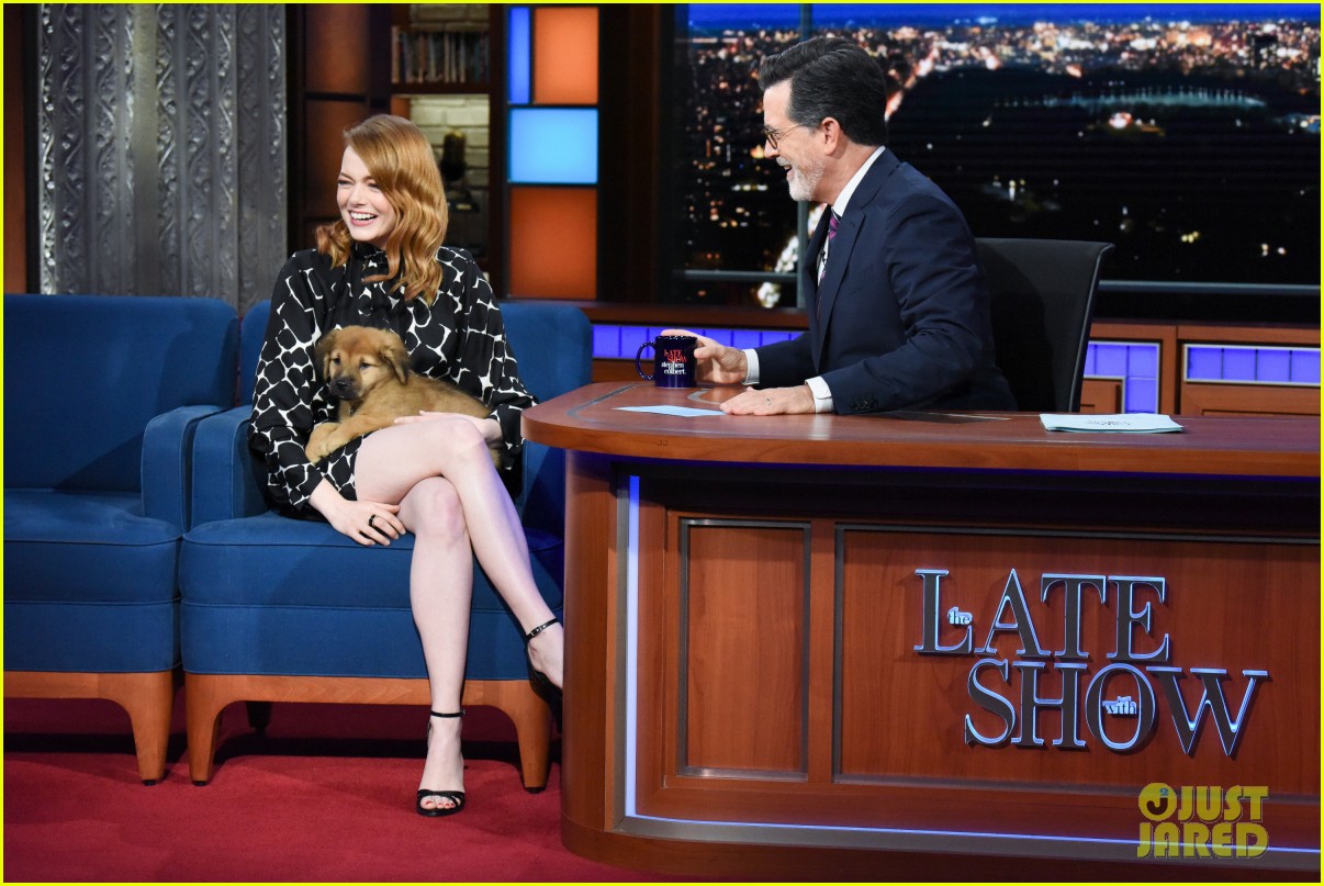 emma stone stephen colbert want you to adopt hurricane florence rescue puppies 044153377