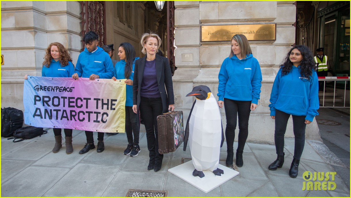 gillian anderson delivers antarctic sanctuary petition to uk government 054161458