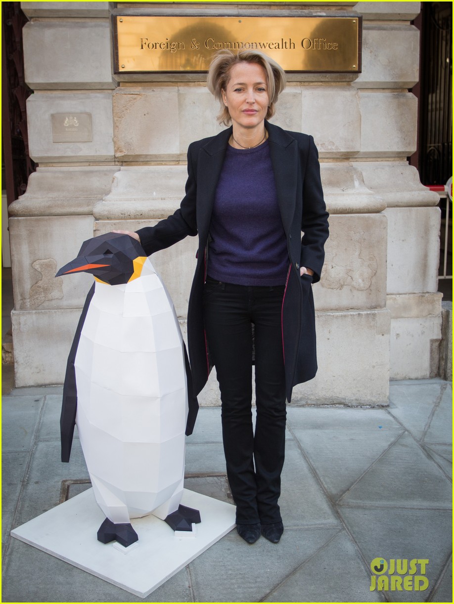 gillian anderson delivers antarctic sanctuary petition to uk government 074161460