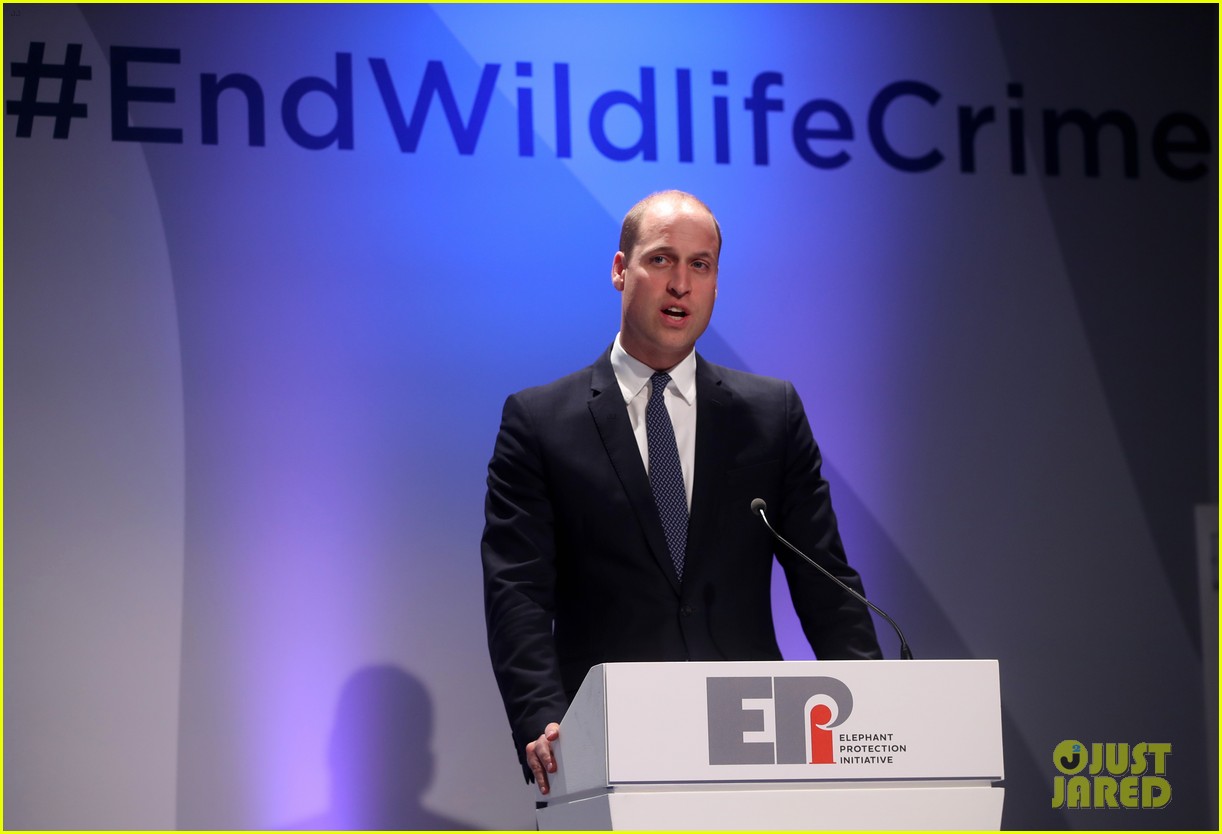 prince william gives emotional speech at illegal wildlife trade conference 094162979