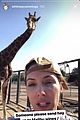 whitney cummings stanley giraffe 2018 01
