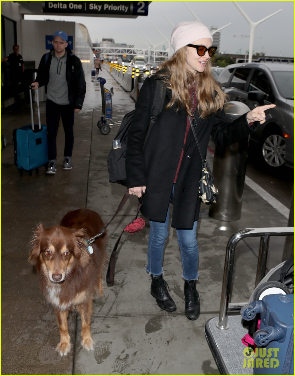 amanda seyfried travels from la to nyc with dog finn 03