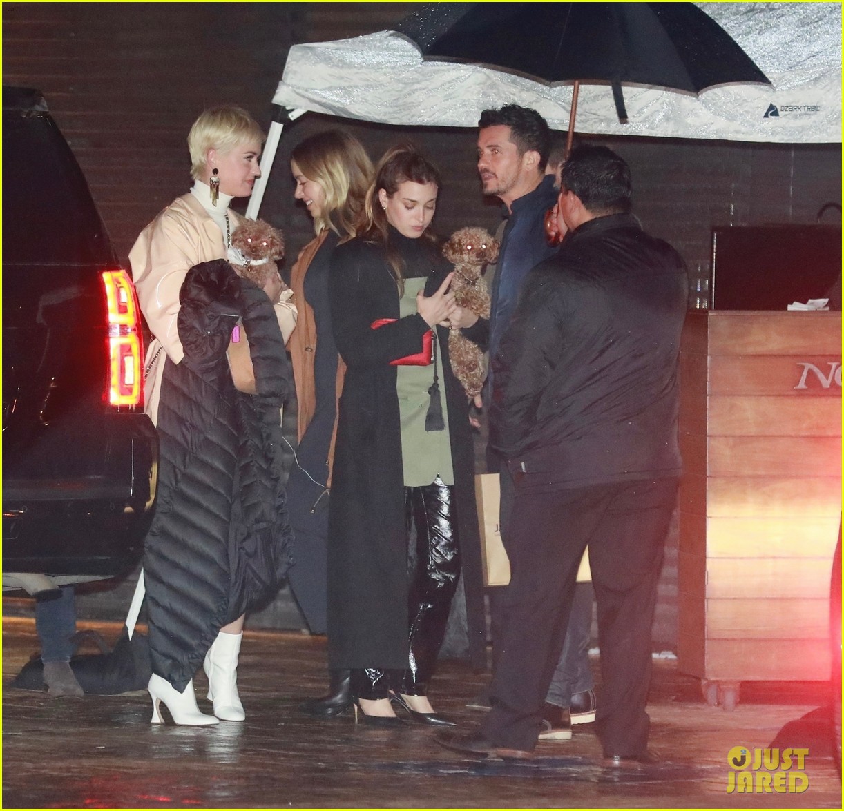 Katy Perry & Orlando Bloom's Dogs Join Them for Date Night! Photo