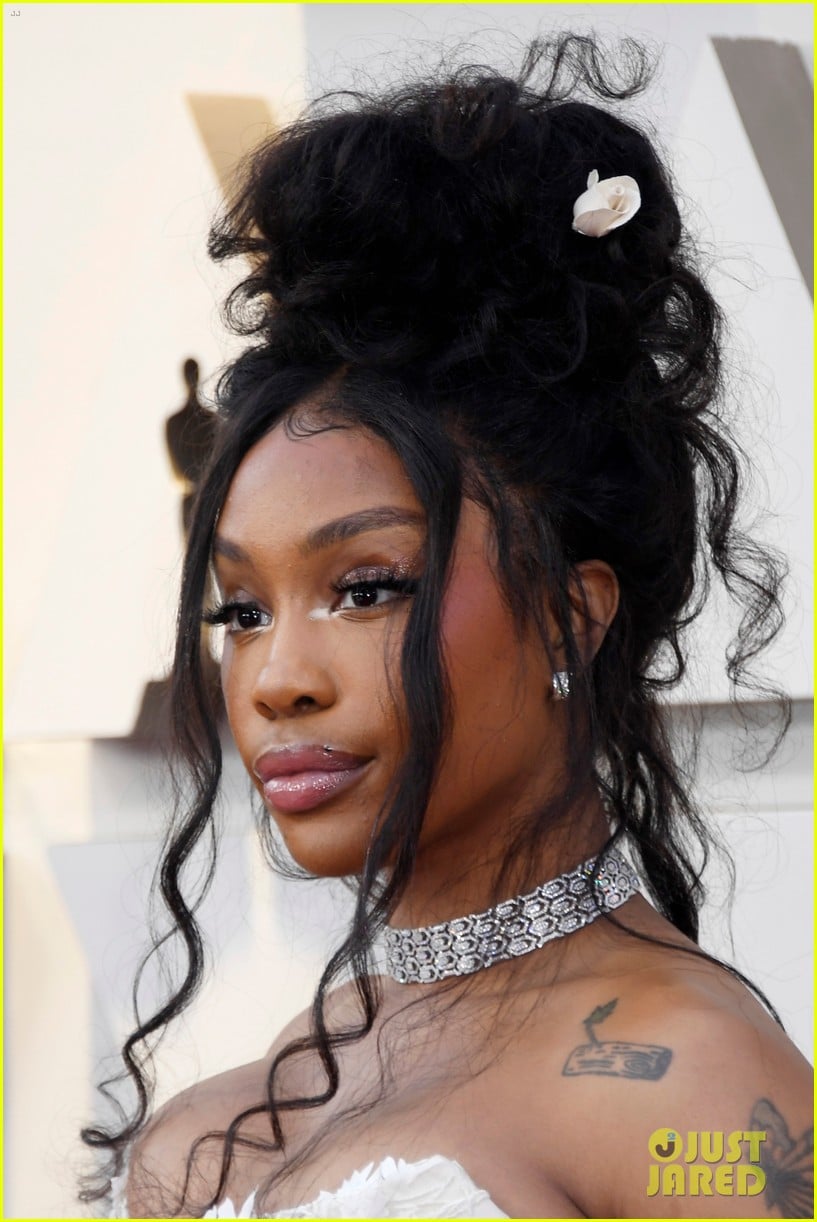 SZA Gets Ethereal on Oscars 2019 Red Carpet!: Photo 4245701 | Oscars