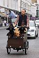 james middleton takes dogs for bike ride 01