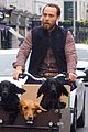 james middleton takes dogs for bike ride 02