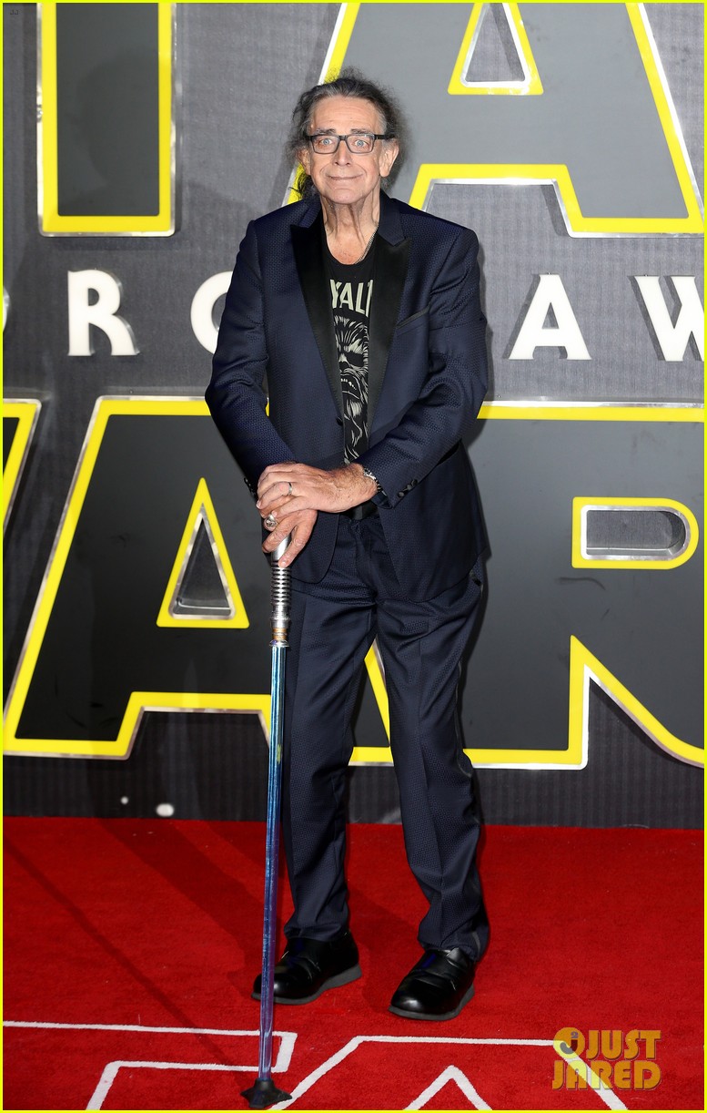 Chewbacca Actor Peter Mayhew&rsquo;s Cause of Death Revealed: Photo 4282167