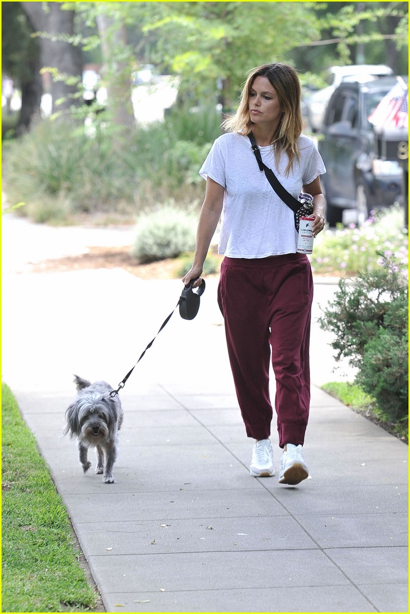 rachel bilson walks her dog 024319826