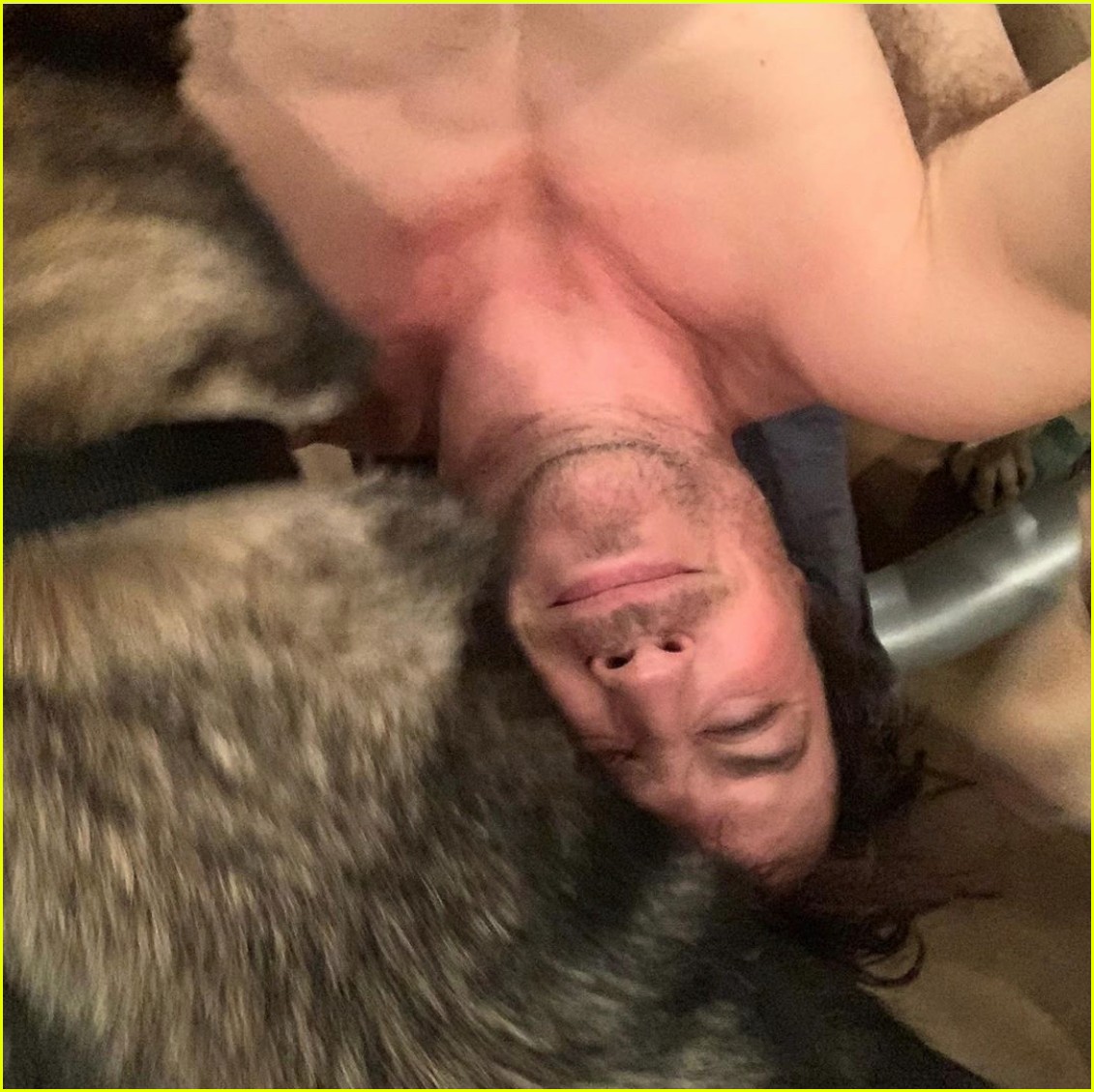 ian somerhalder snaps shirtless selfies with dogs 024361652