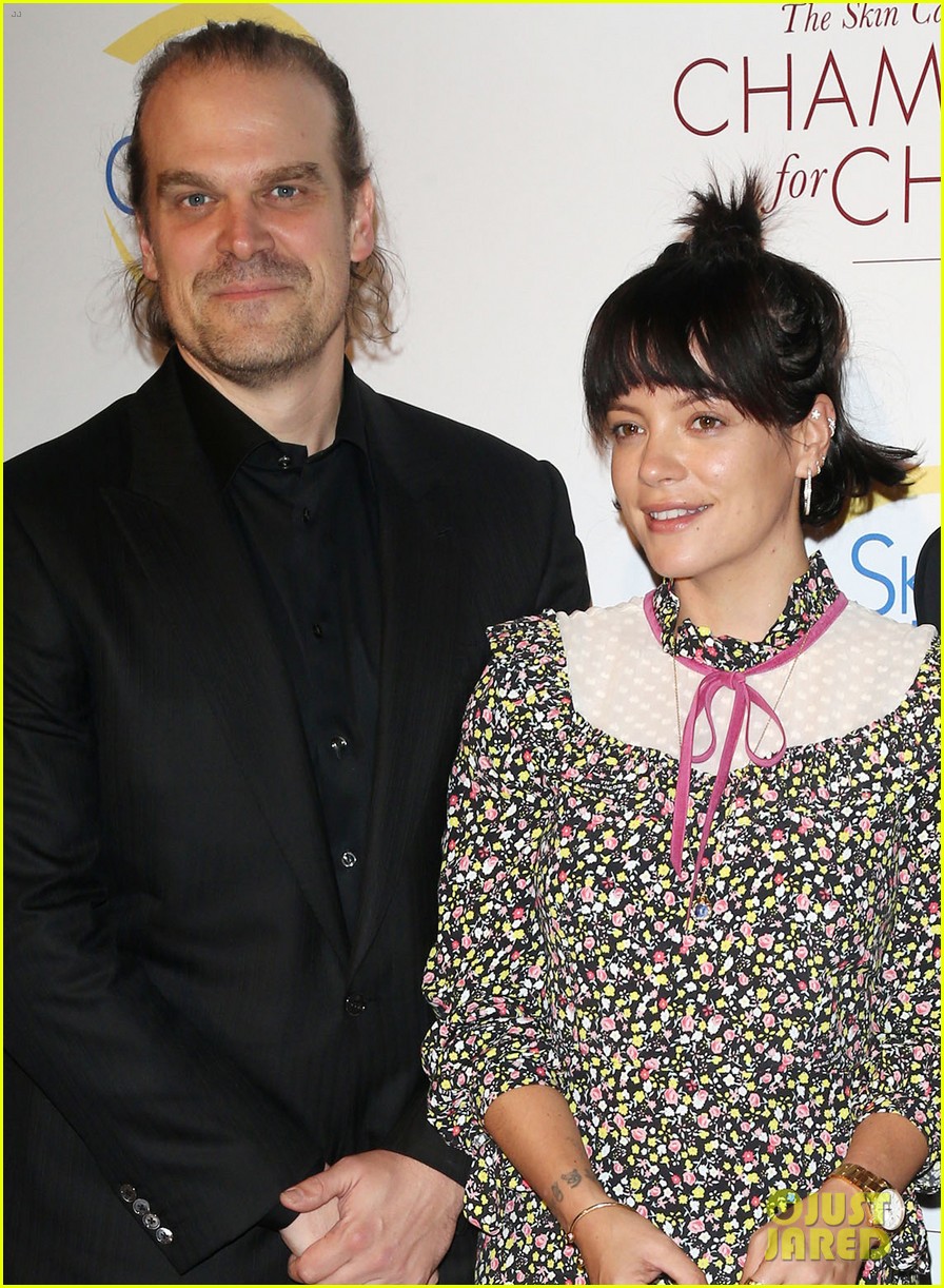 david harbour lily allen red carpet debut champions of change gala 024373419