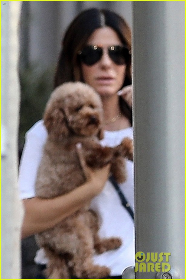 sandra bullock cozies up to cute pooch rare outing 05
