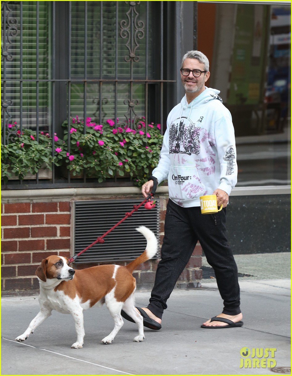 Andy Cohen is All Smiles on Morning Walk with Dog Wacha Photo 4374455(02)