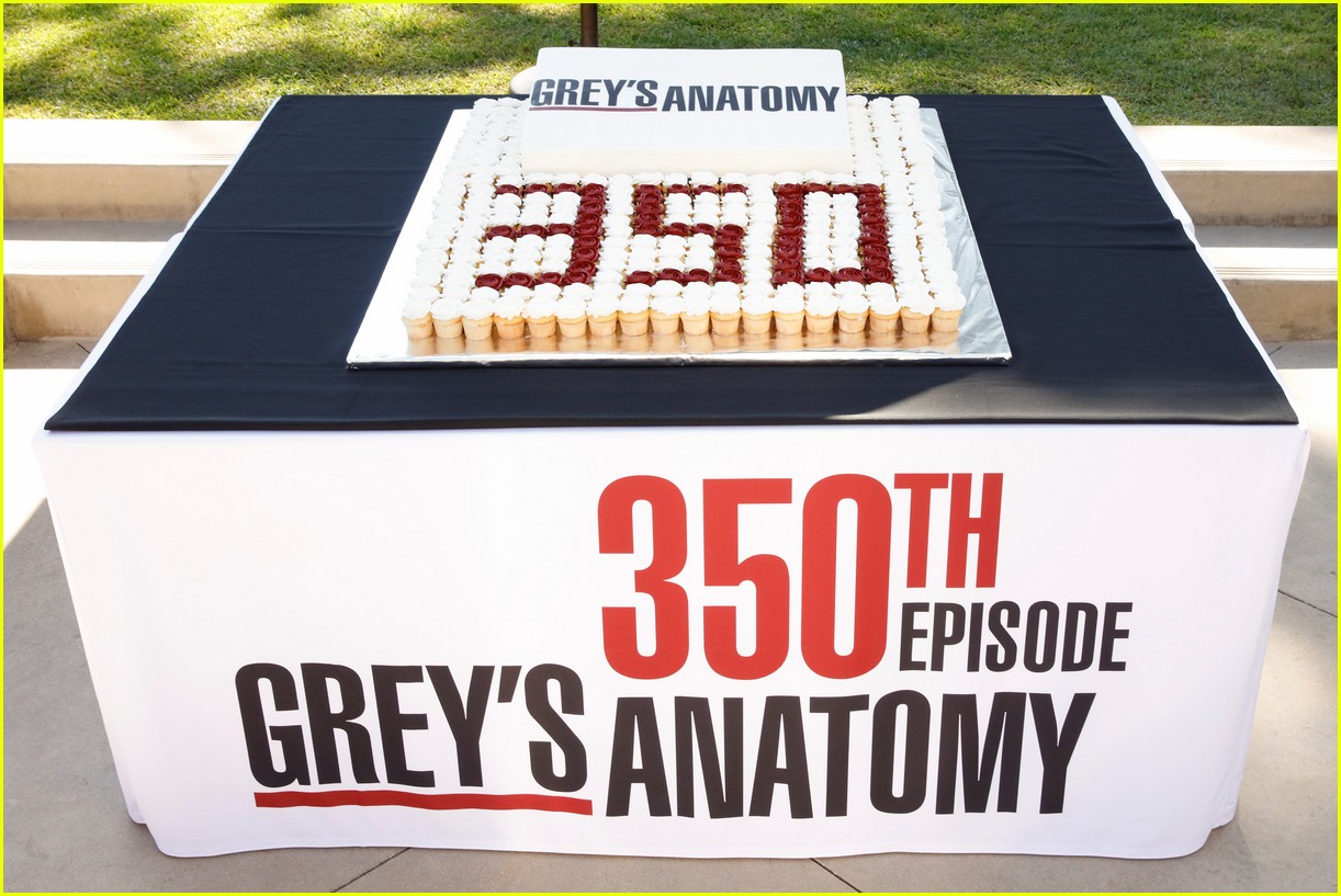 greys anatomy 350th episode 024371944