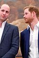 prince harry reacts to prince william rift rumors 06