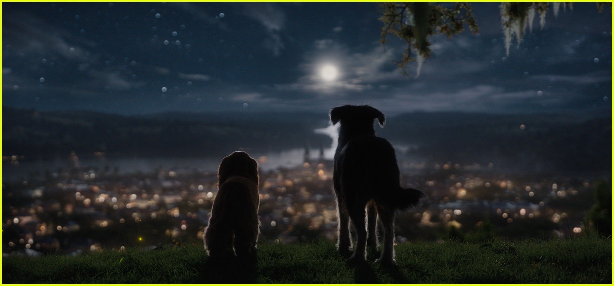 disneys live action lady and tramp gets new trailer 01.4371017