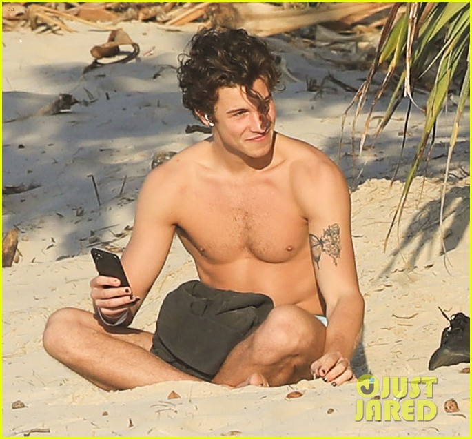 Shawn Mendes Strips Shirtless for a Day at the Beach! Photo 4382429