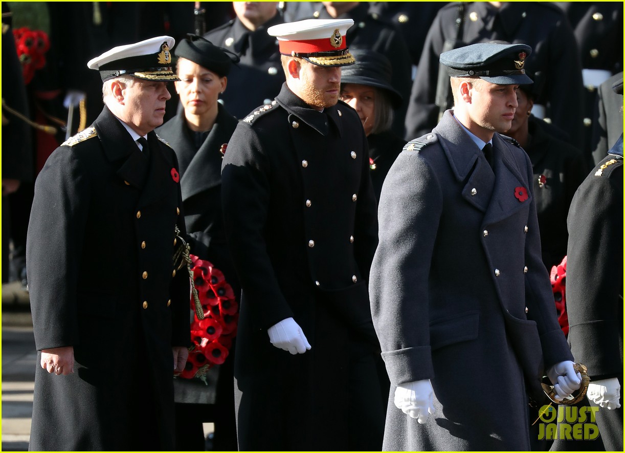 Prince Harry Wore His Remembrance Poppy Differently For This Reason(00)