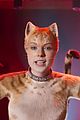 taylor swift in cats 01