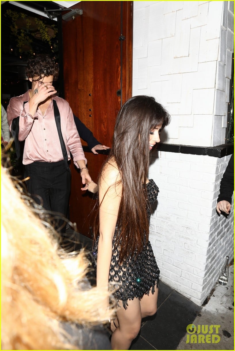 Camila Cabello & Shawn Mendes Hold Hands After Night Out at Grammys