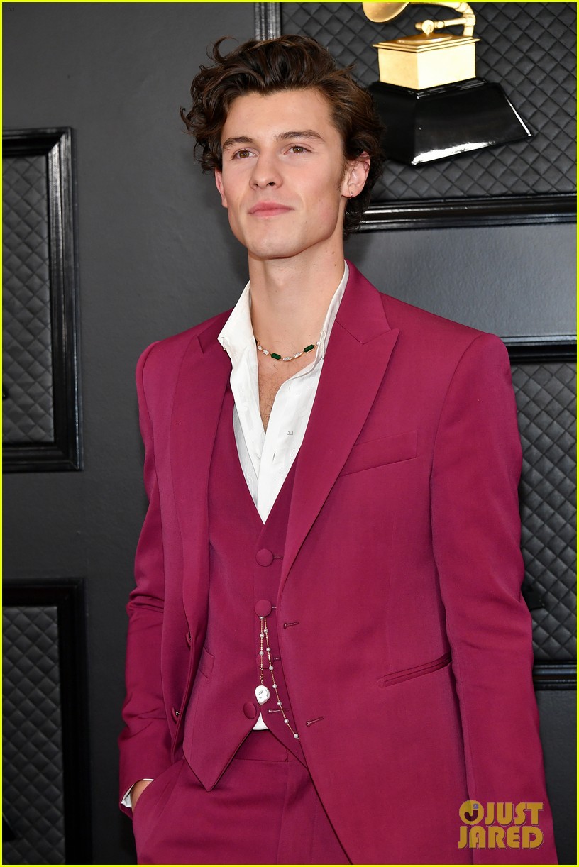 shawn mendes looks incredibly suave at grammys 06